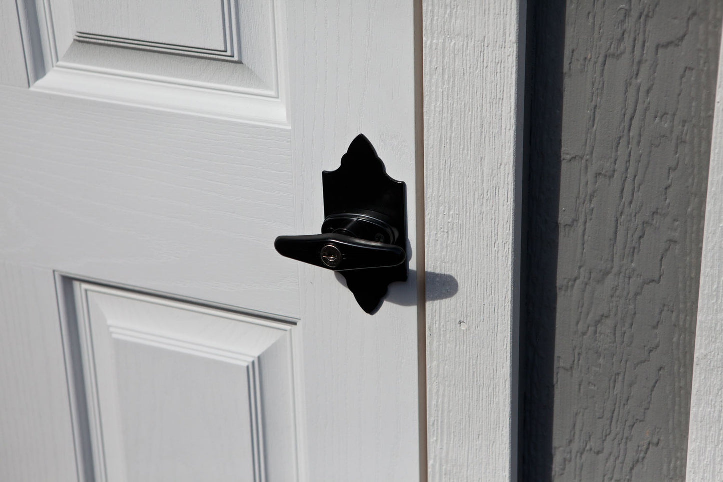 Acorn Handle Backplate