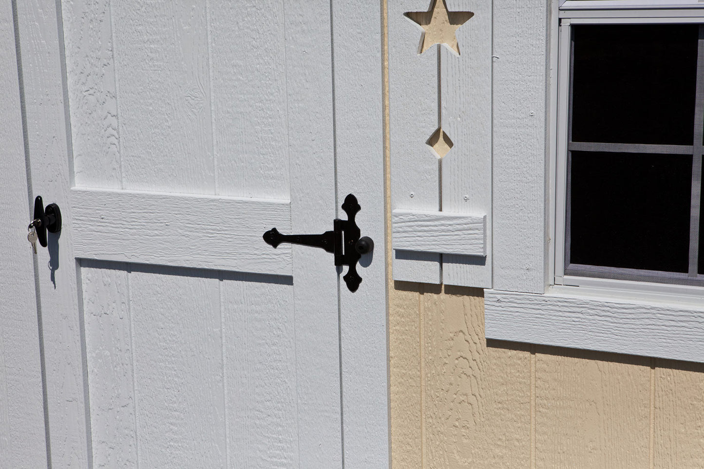 6" Acorn Hinge - (3) Pack